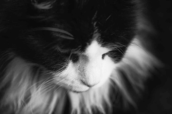 Contemplation